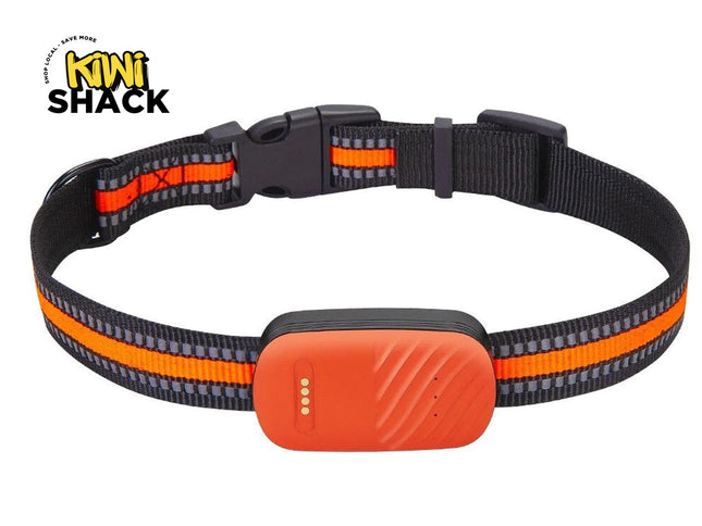 Dog collar with an orange electronic device on a white background, featuring the Kiwi Shack brand.
