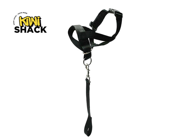 Black leather harness with a chain on a white background, branded with 'Kiwi Shack'.