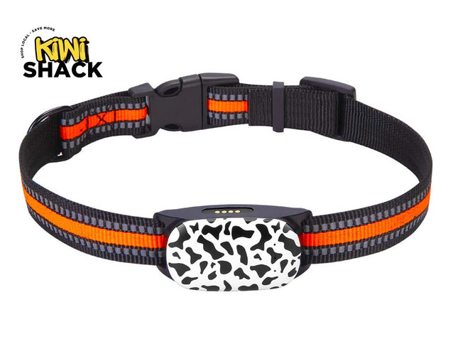Dog collar with electronic device and orange and black pattern on a white background, branded 'Kiwi Shack'.