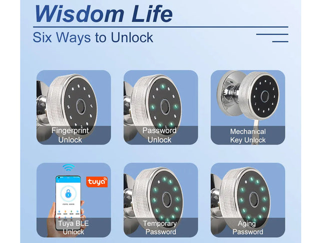 Smart lock display with six unlock methods on a blue background, featuring the Wisdom Life brand.