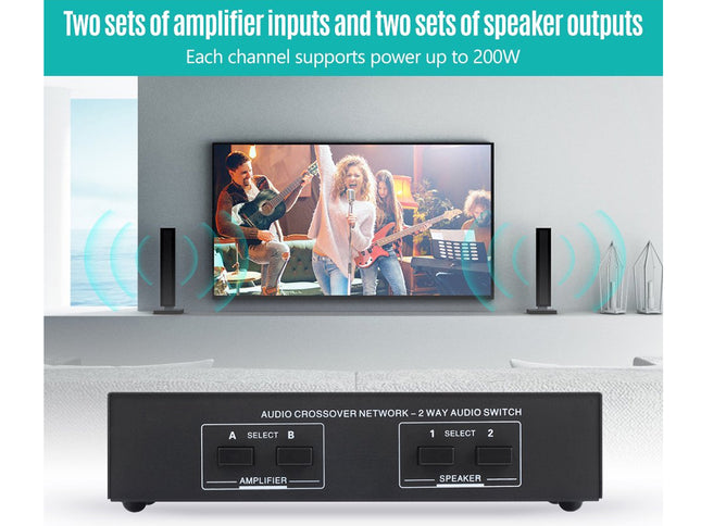 Audio crossover network with amplifier and speaker inputs on a white background