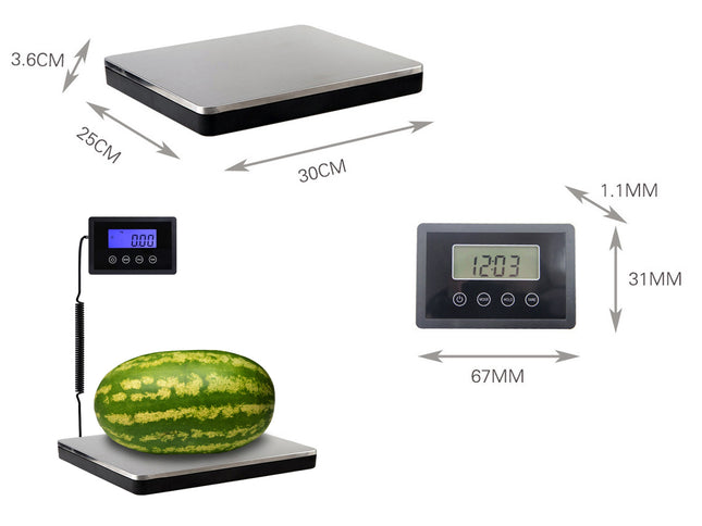 Digital kitchen scale with dimensions labeled on a white background