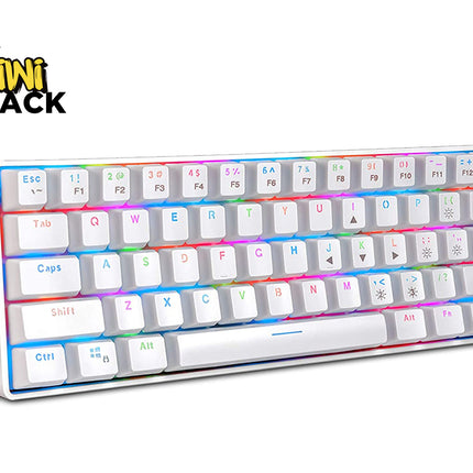 A white mechanical keyboard with multicolor RGB backlighting, shown at an angle on a white background with the Kiwi Shack logo in the top-left corner.