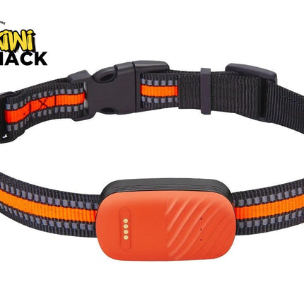 Dog collar with an orange electronic device on a white background, featuring the Kiwi Shack brand.