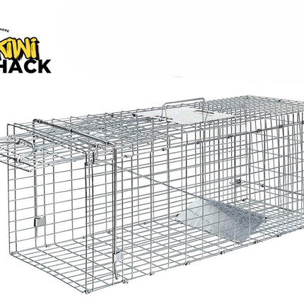 A galvanized wire mesh live animal humane trap with a spring-loaded door mechanism, featuring the "Kiwi Shack" logo in the top-left corner.