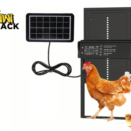 Kiwi Shack solar chicken feeder with a chicken and chicks on a white background