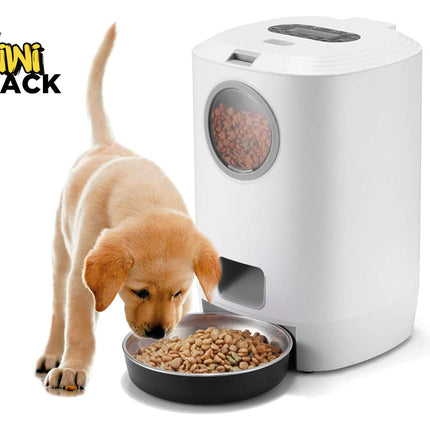 Dog eating from a bowl next to a white pet feeder with 'Kiwi Shack' branding.