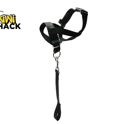 Black leather harness with a chain on a white background, branded with 'Kiwi Shack'.