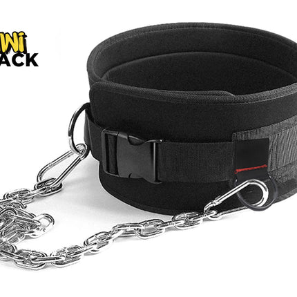 Black padded weightlifting dipping belt with a quick-release buckle strap, heavy-duty steel load-bearing chain attached with D-rings and carabiners, and the Kiwi Shack logo watermark.
