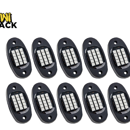 Kiwi Shack LED lights on a white background