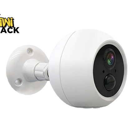 A white spherical security camera with a black lens face and a white wall mount bracket, shown on a plain white background with a Kiwi Shack logo in the top-left corner.