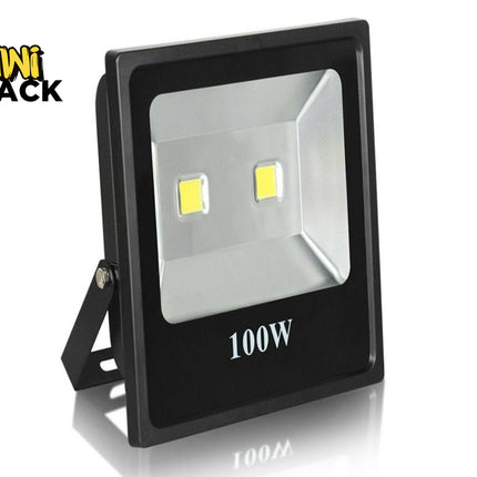 A 100W black outdoor LED floodlight with an adjustable mounting bracket, featuring the "Kiwi Shack" logo in the top-left corner.