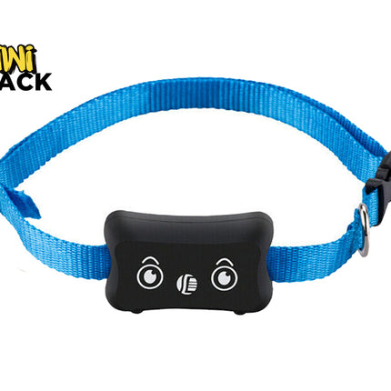 A blue nylon pet collar with a black electronic transmitter device in the center, featuring white cartoon eyes and a speaker icon. The brand logo 'KIWI SHACK' is visible in the top-left corner on a plain white background.