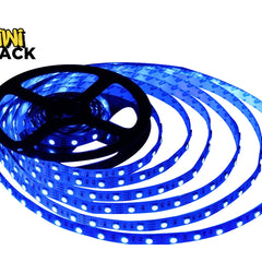 A spool of glowing blue LED strip lights uncoiled against a white background, with the "Kiwi Shack" logo visible in the upper left corner.