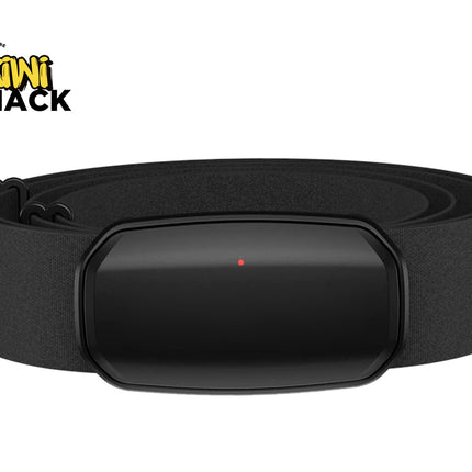 Black belt with a rectangular buckle on a white background, featuring the Kiwi Shack logo.