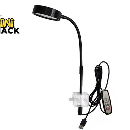 Black adjustable reading lamp with USB cable on a white background, featuring the Kiwi Shack logo.