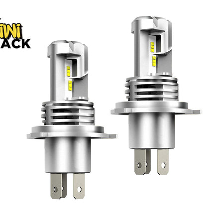 Two car light bulbs with Kiwi Shack logo on a white background