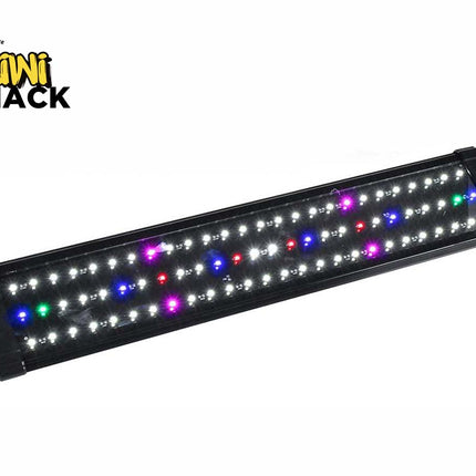 A rectangular black LED aquarium light fixture with extending wire brackets on the ends and multiple rows of white, blue, green, red, and purple LEDs illuminated against a white background, featuring the "Kiwi Shack" logo in the upper left corner.