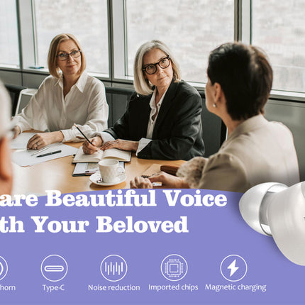 USB-C Rechargeable Hearing Aids Noise Reduction Earbuds