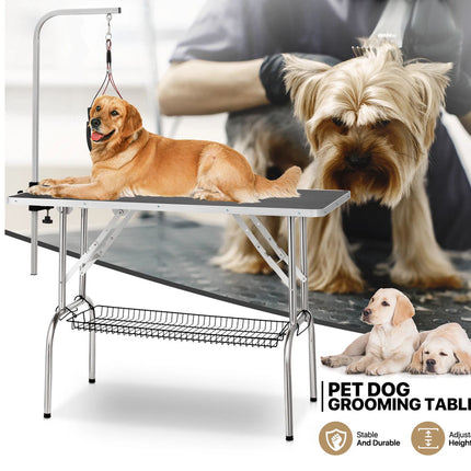 Pet dog grooming table with dogs on a white background