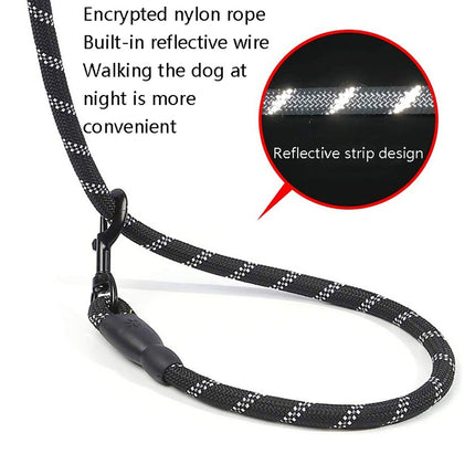 Dog leash with reflective strip design on a white background