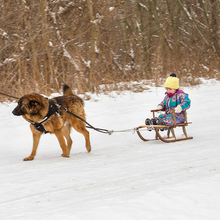 Dog pulling a child in a sled through a snowy landscape.