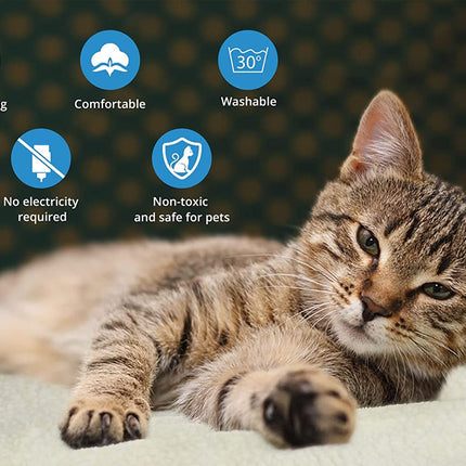 Cat lying on a surface with icons and text describing product features.