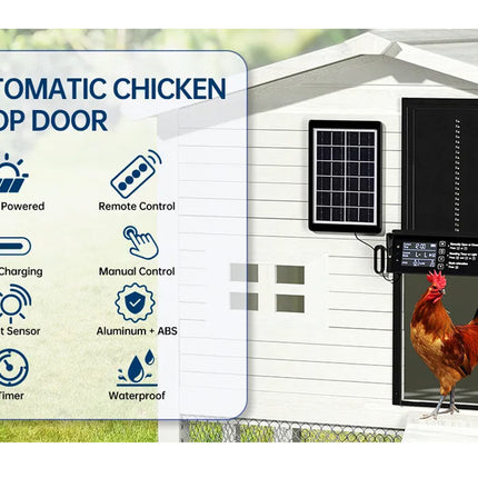 Automatic chicken coop door with solar panel and chicken outside