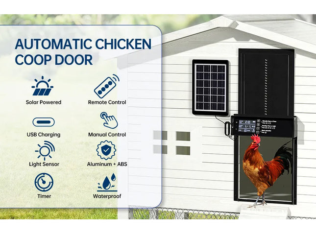 Automatic chicken coop door with solar panel and chicken outside