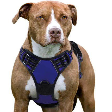 Dog Harness Medium |  NZ Sale