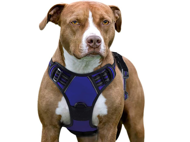 Dog Harness Medium |  NZ Sale