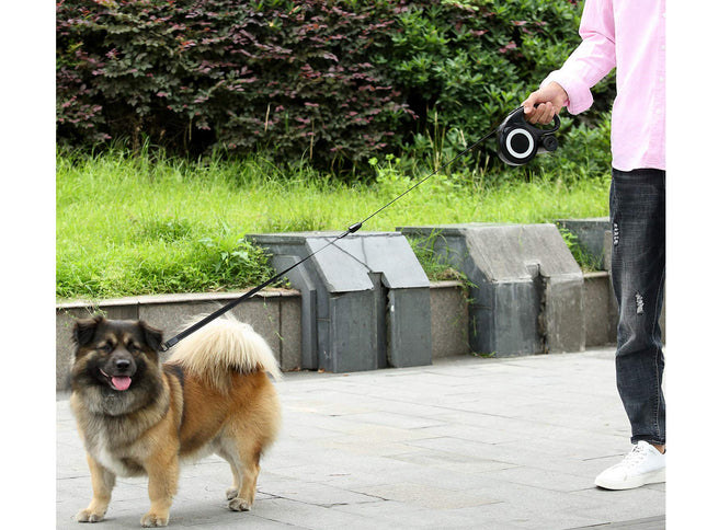 Retractable Dog Lead | NZ Sale