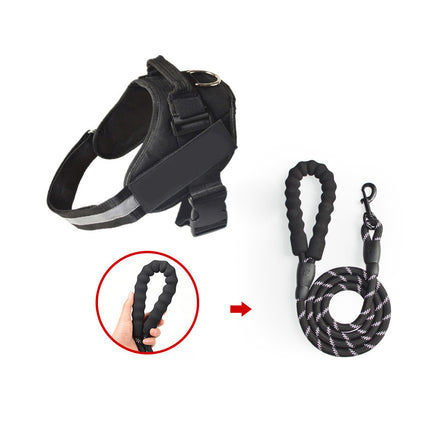 Dog harness and leash set with a close-up of the leash on a white background