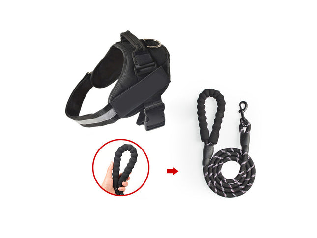 Dog harness and leash set with a close-up of the leash on a white background