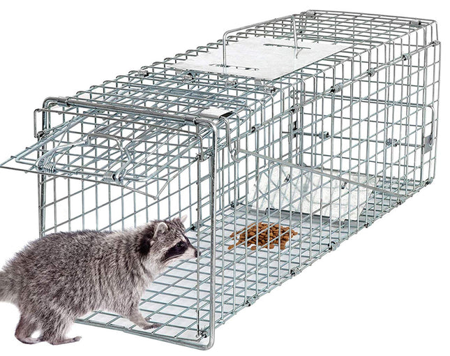 Possum Trap | NZ Sale