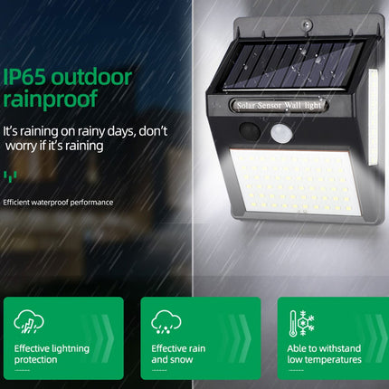 Solar Security Light