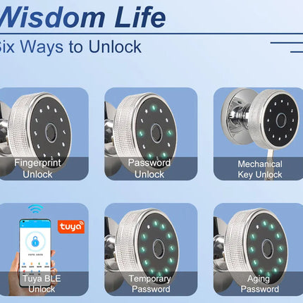 Smart lock display with six unlock methods on a blue background, featuring the Wisdom Life brand.