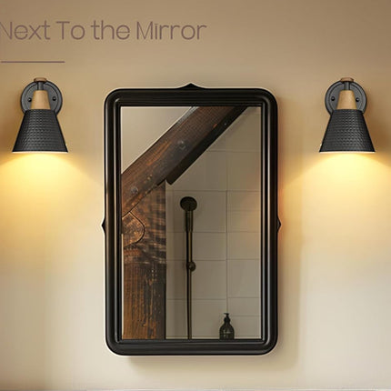 Wall Sconce Light