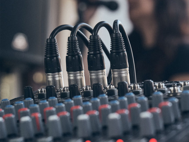XLR Cable