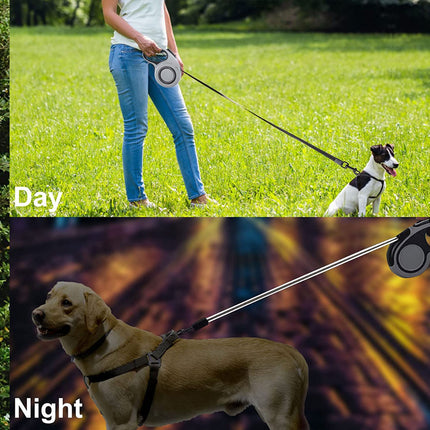 Dog being walked on a leash during the day and night with a focus on the leash's functionality.