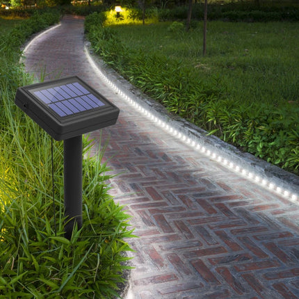Solar-powered garden light illuminating a pathway in a garden setting
