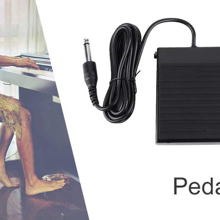 Keyboard Sustain Pedal | NZ Sale