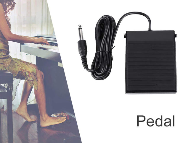 Keyboard Sustain Pedal | NZ Sale
