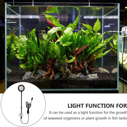 Aquarium with plants and rocks, featuring a light function for plant growth.