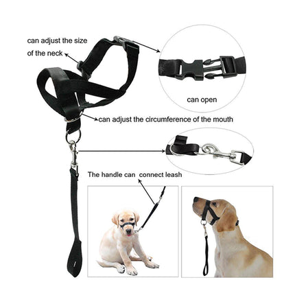 Dog muzzle with adjustable features and connection points for a leash, shown on a white background.