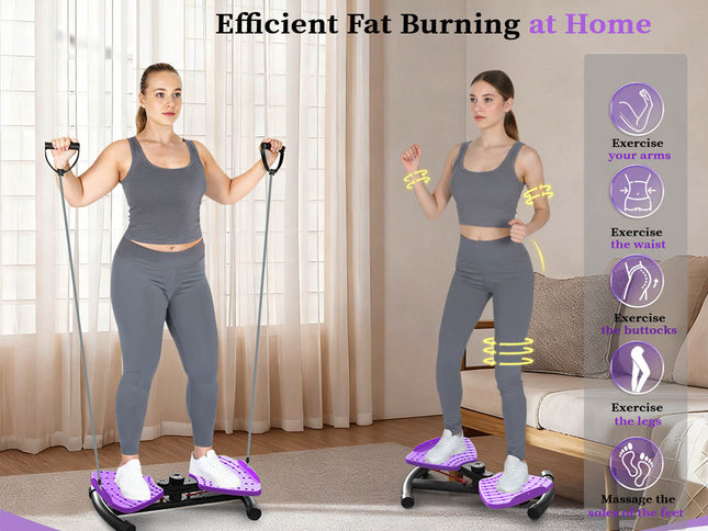 Waist Twister Machine