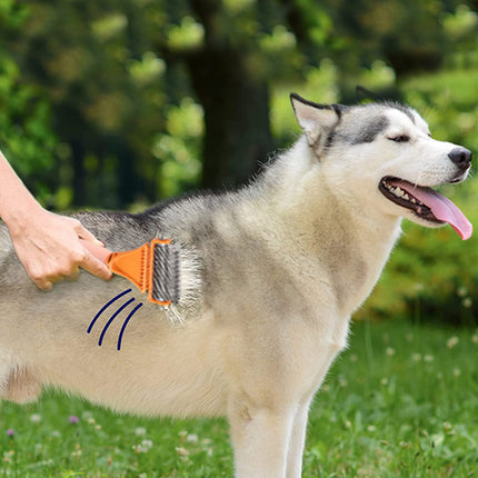 Pet Supplies Dog Brush |  NZ Sale