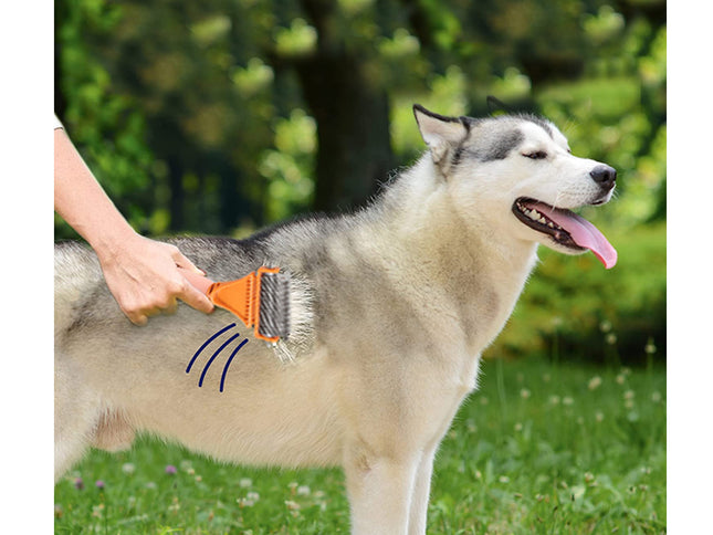 Pet Supplies Dog Brush |  NZ Sale