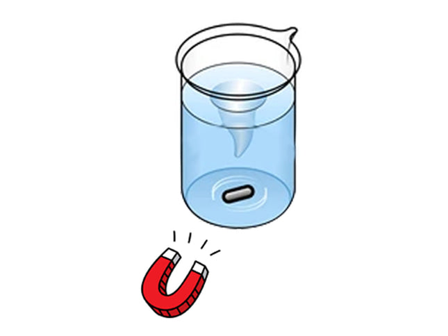 A simple line drawing showing a clear cylindrical container filled with blue liquid, a small dark oval object at the bottom, and a red horseshoe magnet below it on a white background.