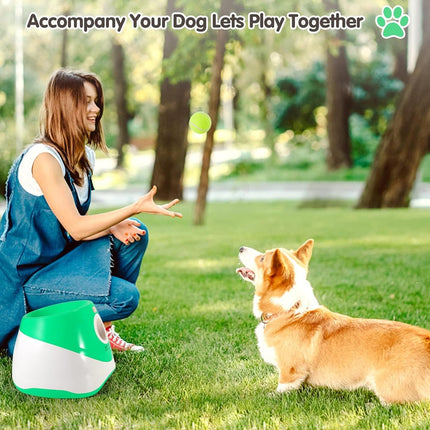 Woman playing with a dog in a park with a green ball and a green and white chair.